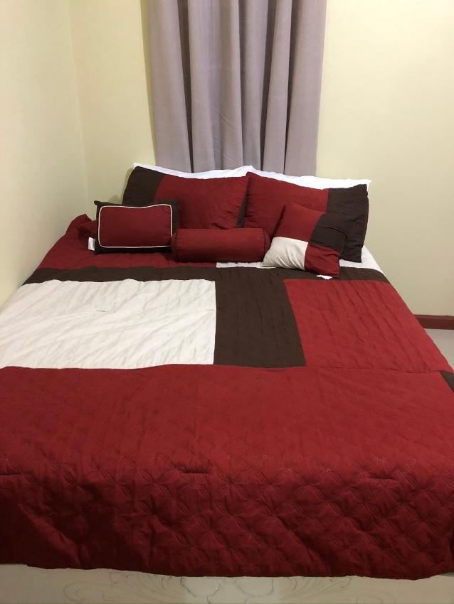 Peace Of Mind- Serenity Palm