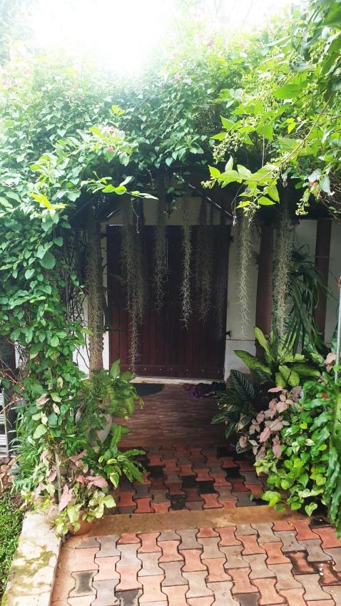 Wadula Family Cottage