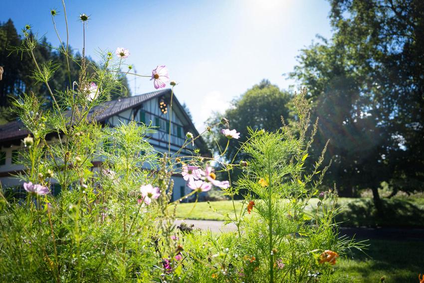 Natur & Spa Resort Allgäu by Monteviva