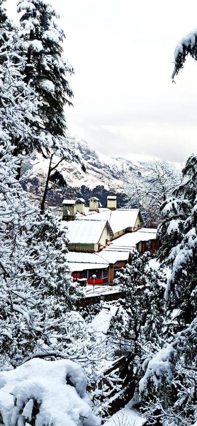 Royal King Suit at Hotel Snow View Chakrata by Suryam Holidays