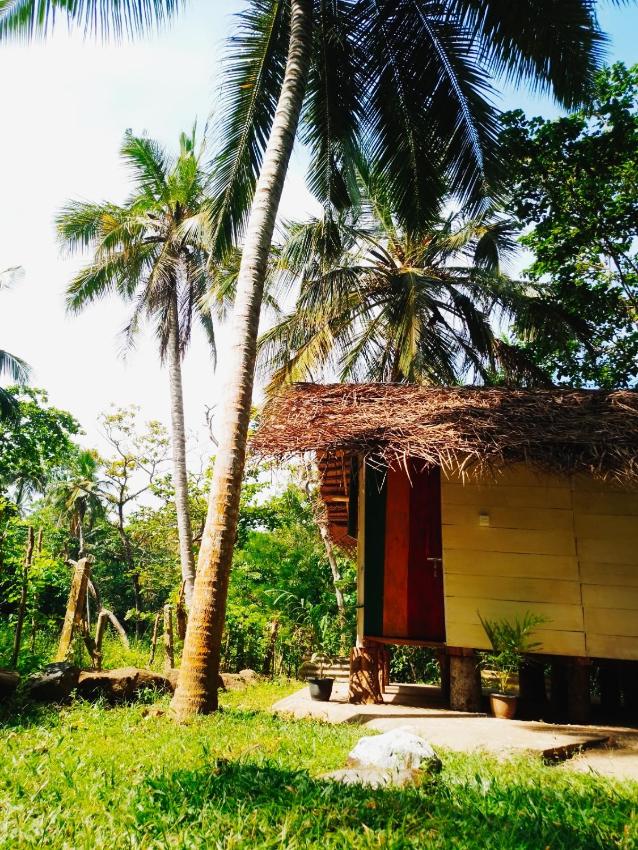 Hidden Well Hiriketiya