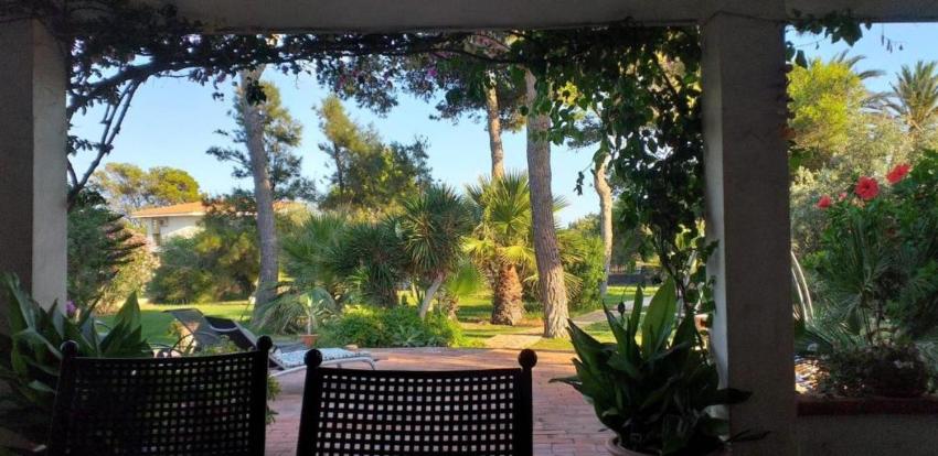 Lisa Best Vacation Ever