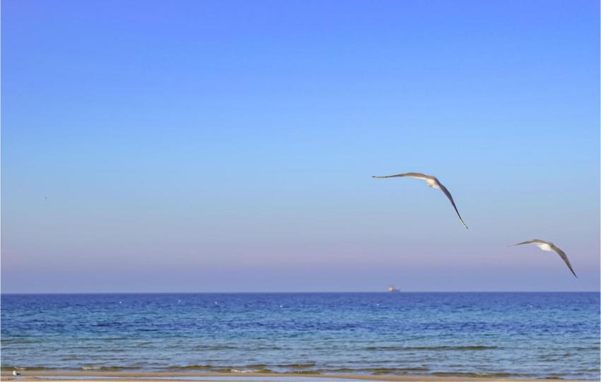 Nice home in Jezierzany with Outdoor swimming pool, Jacuzzi and 1 Bedrooms