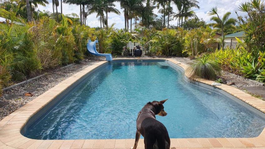Peace and Tranquility By The Pool