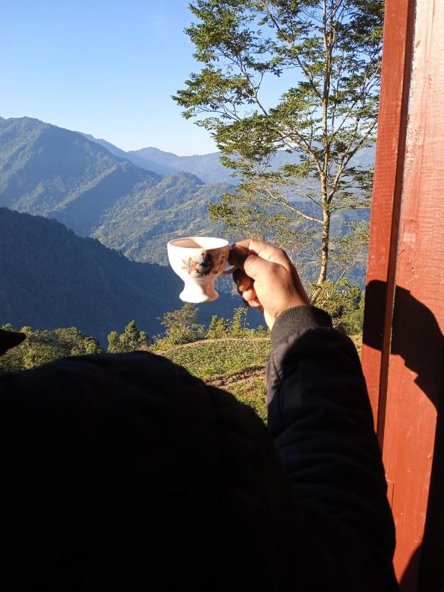 Lingsay Homestay - Losi Nest