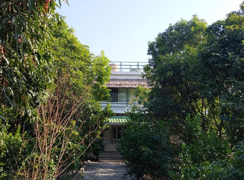 Tyger Tyger near Corbett Tiger Reserve