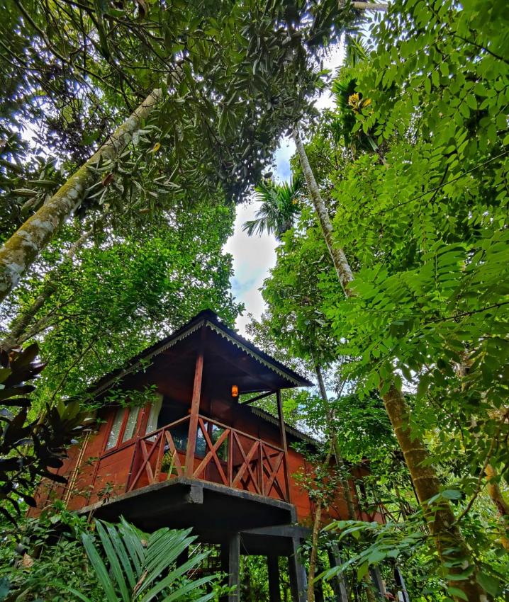 Wooden Cottages Glen Wayanad