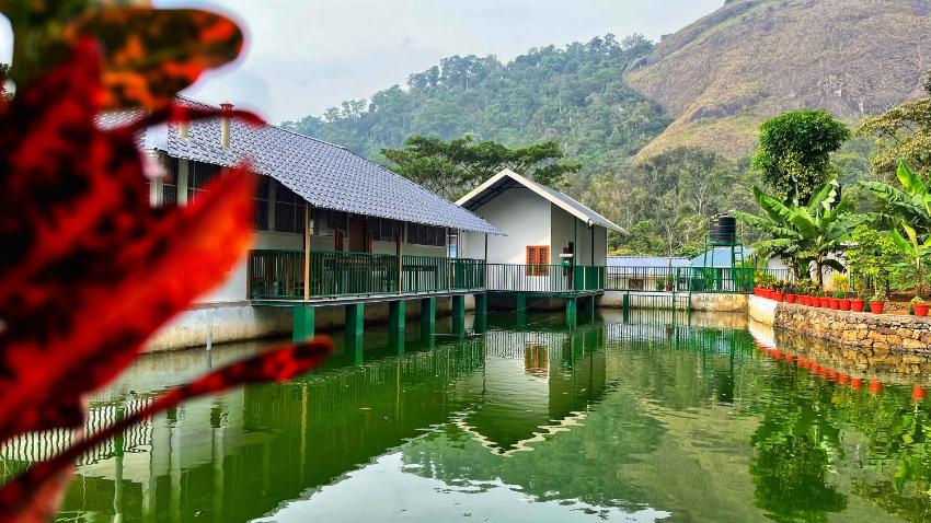 Beautiful stay amidst the cardamom plantation