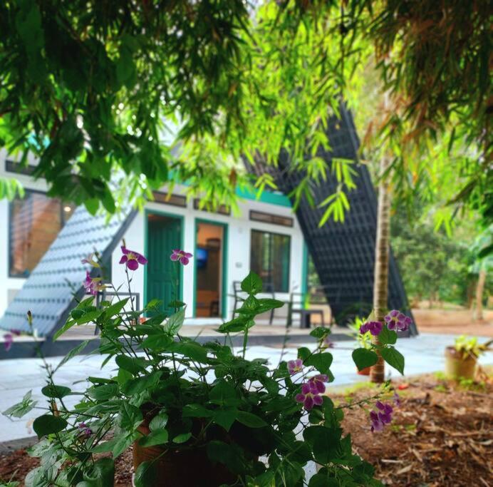 WildBeats StreamStays - Wayanad