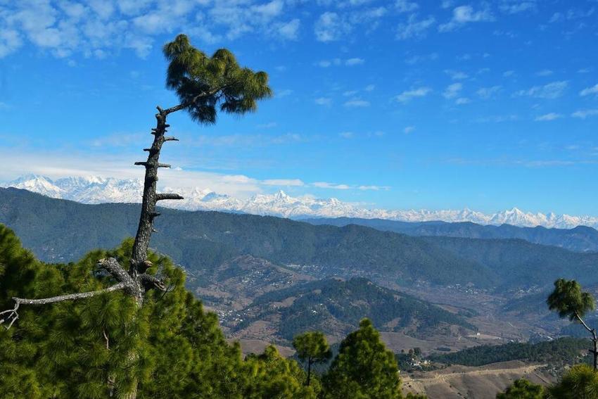 1-Himalayan View Home Near Ranikhet, kosi, Almora
