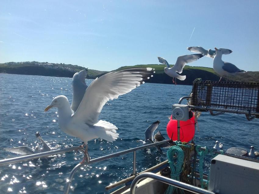 Burrow Park Farmhouse