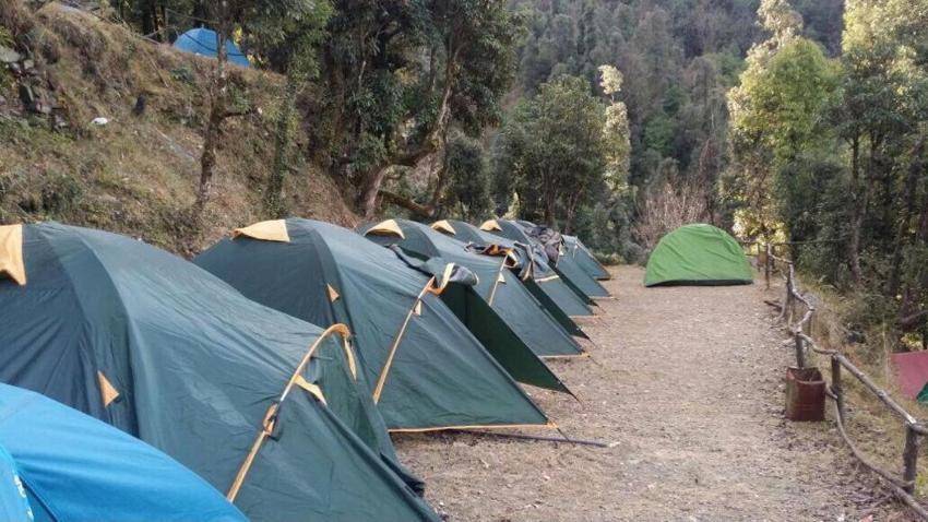 Janardan Campsite Kausani