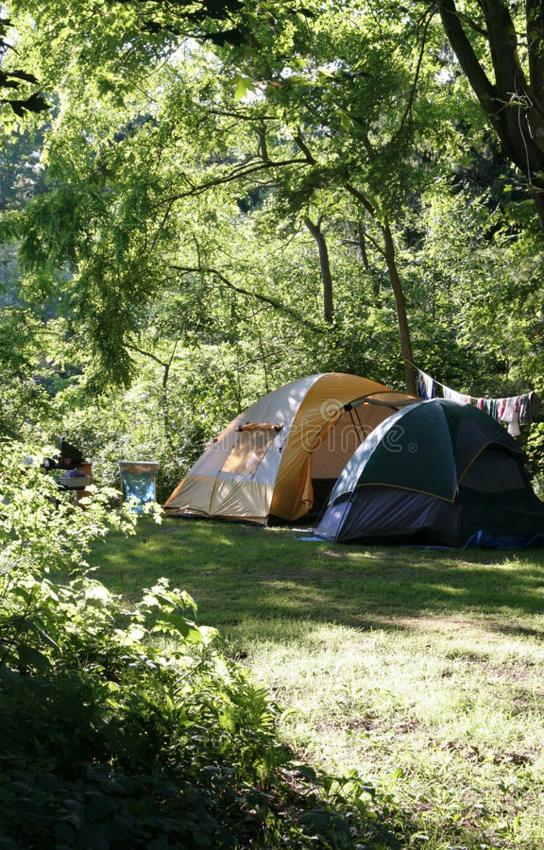 River mist jungal stay