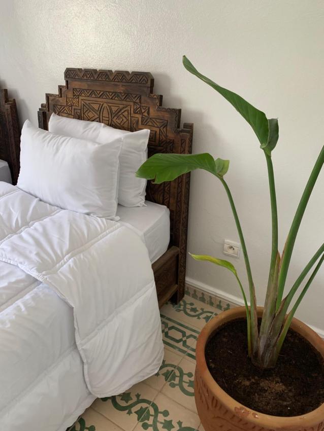 DARNA SURFHOUSE TAMRAGHT