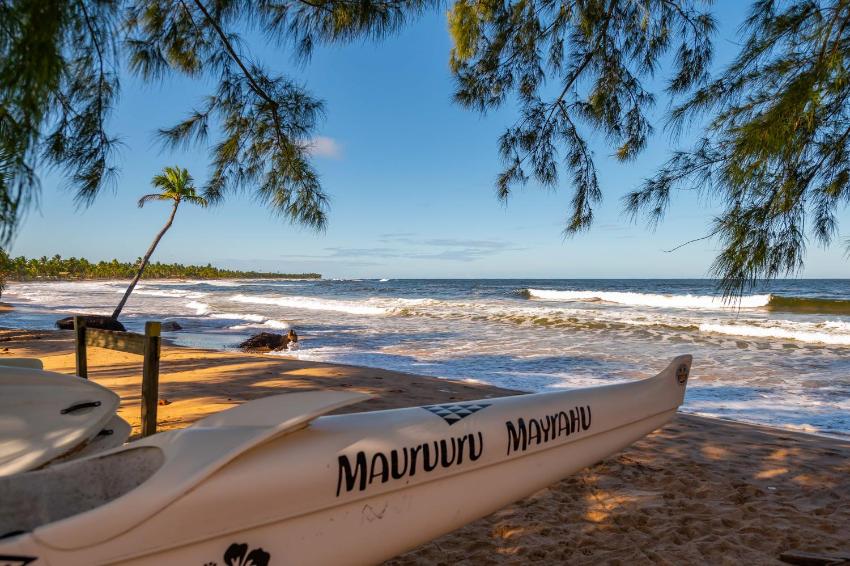 TAIPU ROOTS - Casa de Praia