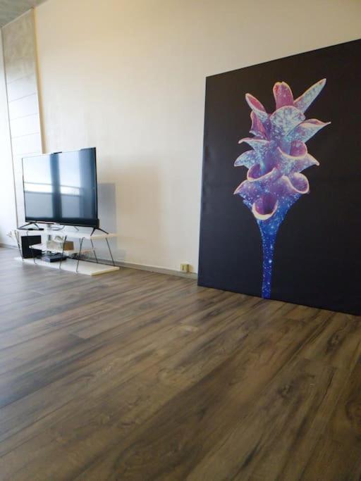 Belle appart Centre-ville Saint louis