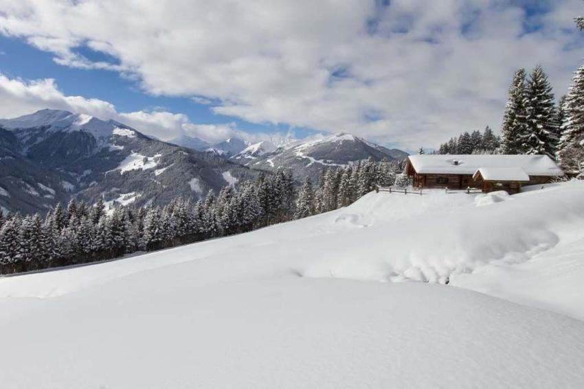 Ferienhaus für 14 Personen ca 120 m in Viehhofen, Salzburger Land Pinzgau