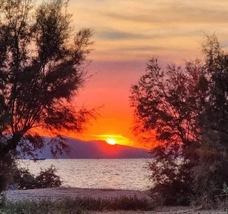 La Casa di L'Alivi (A 5mn de Saint Florent)