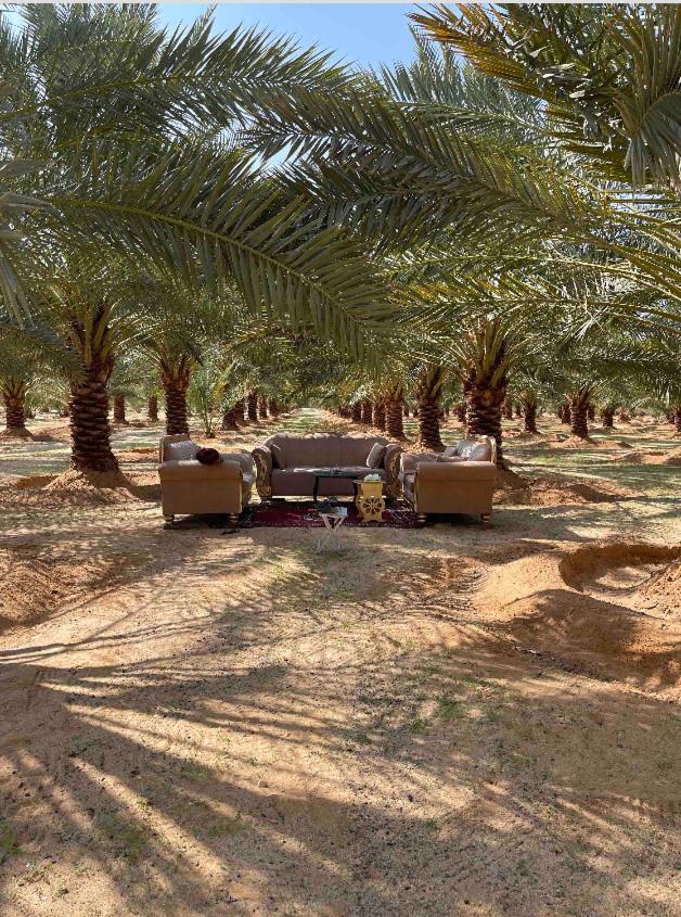 فيلا البيلسان 1