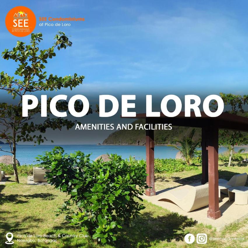 J-503B Pico de Loro by SEE Condo