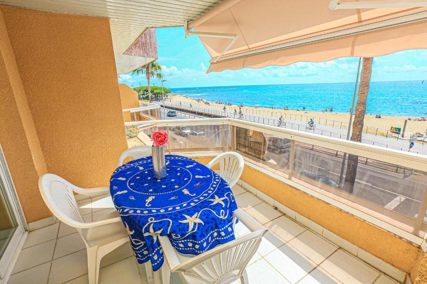 Austral - ONLY FAMILIES