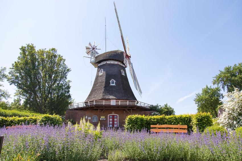 AM 2- Seeräuber Standard