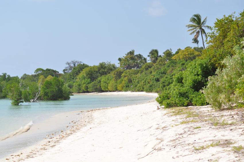 Mangrove Blue Waves Bungalows