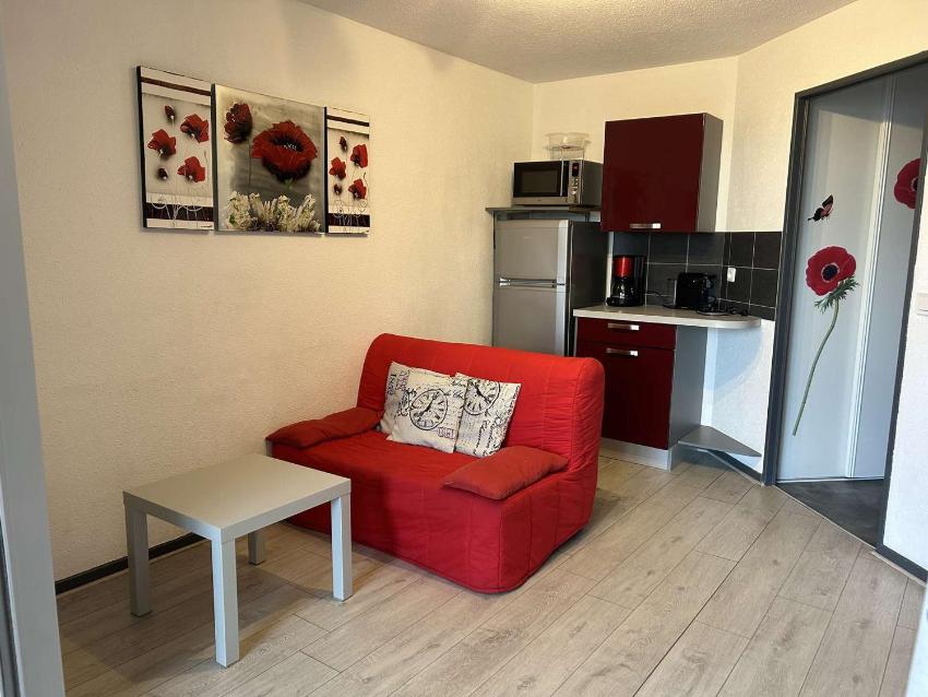 Appartement Le Grau-du-Roi, 2 pièces, 4 personnes - FR-1-250-3