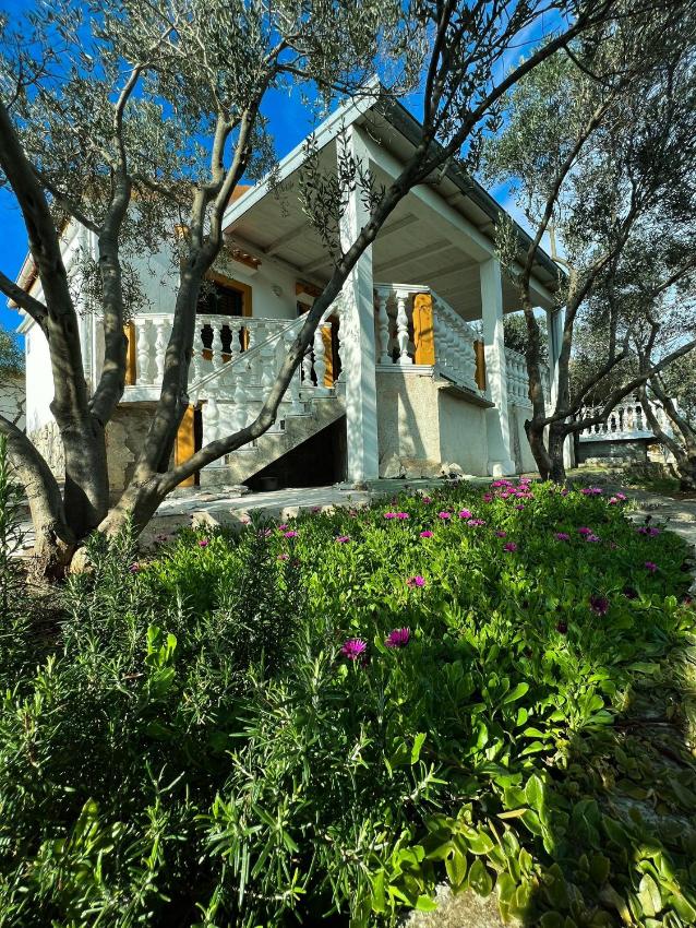 Apartment Eva - Molat