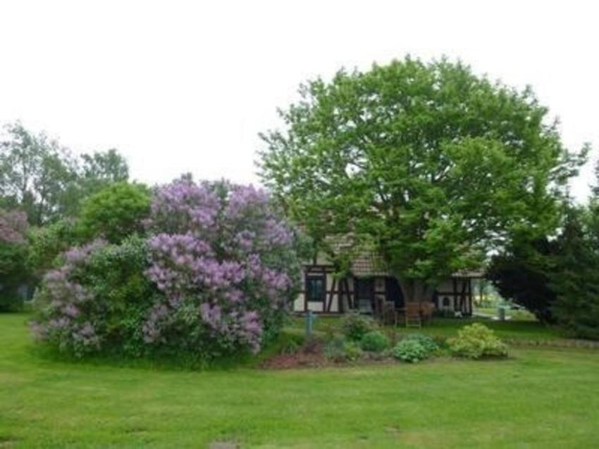 Große Ferienwohnung müberdachtem Südbalkon im Zentrum der Insel Whg Mönchgut