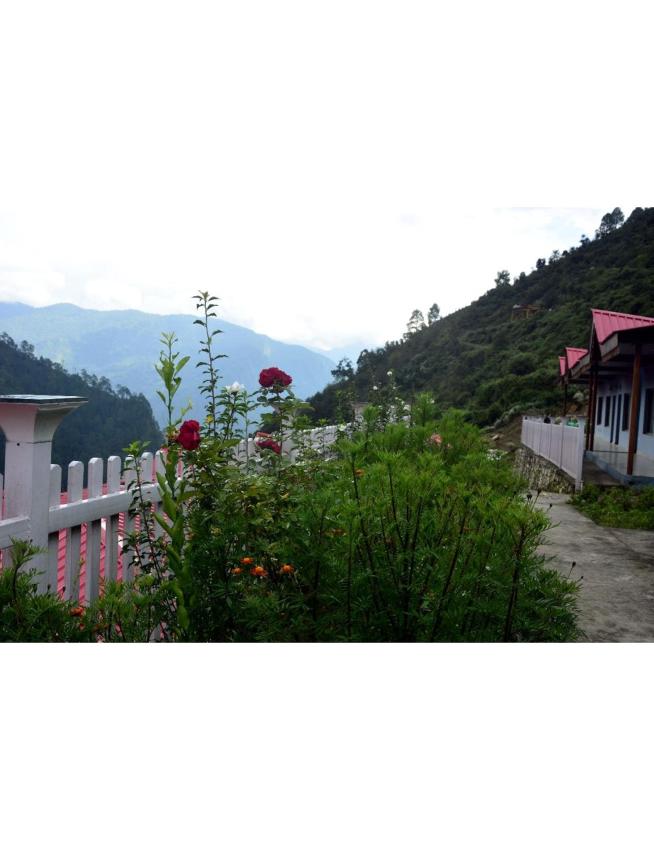 LA Fiyoli Resort, Kedarnath Road, Phata