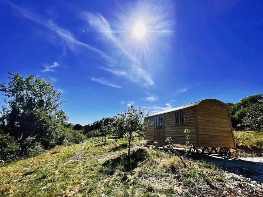 Robins Retreat - Shepherds Hut