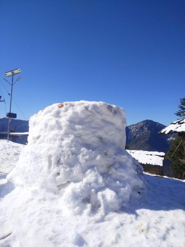 Tree Hub Hostel & Homestay