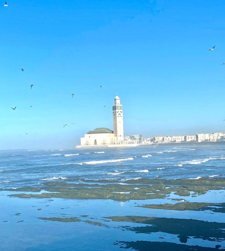 appartement en plein centre de casablanca