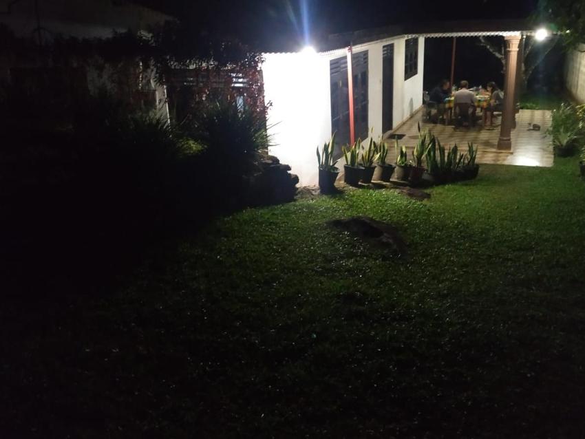 Rainforest breath - Sinharaja and patna