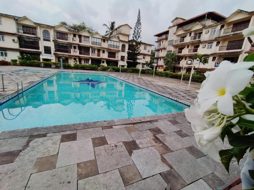2BHK luxury apartment in calangute Pool Faching
