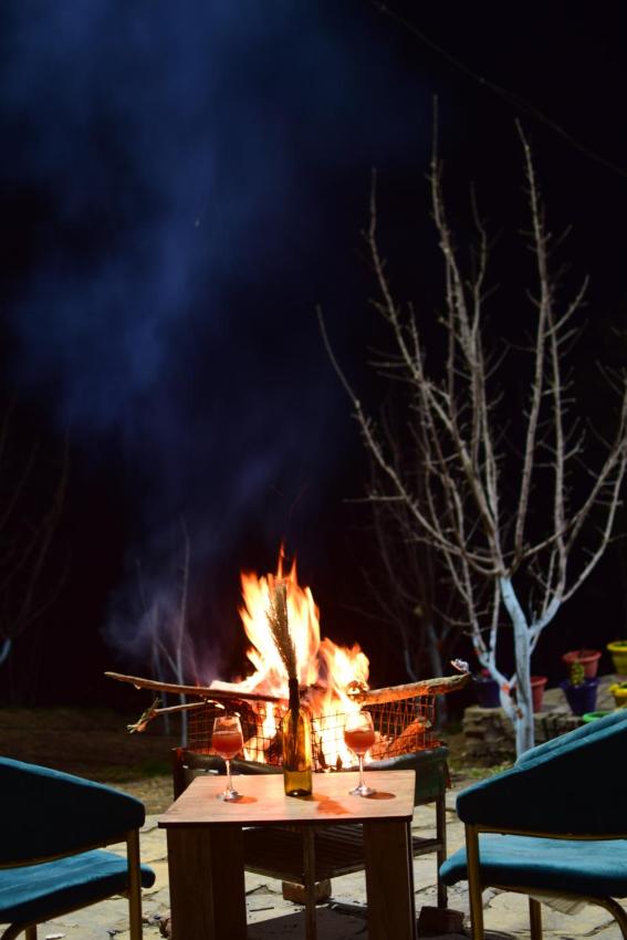 Mountain View crested view