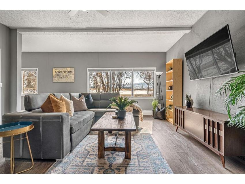 Adventure Nest I Walk out to River I Games I TV