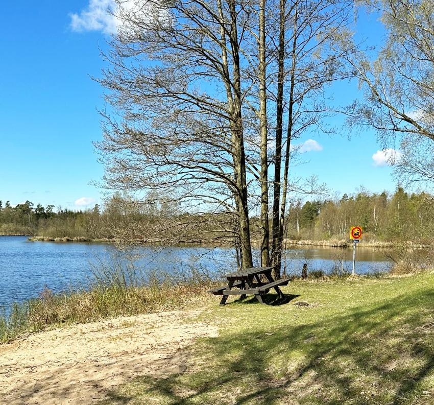 Cozy cottage in Hassleholm with the forest outside the house knot