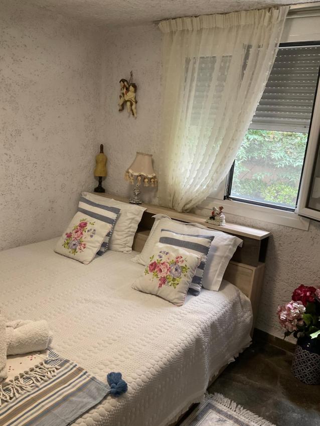 House with Big Garden