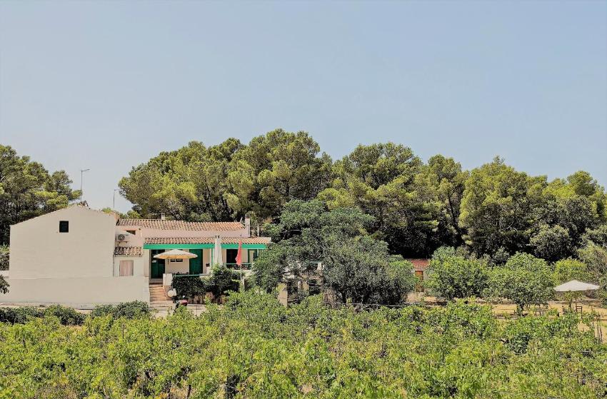 Cala Vinagra House