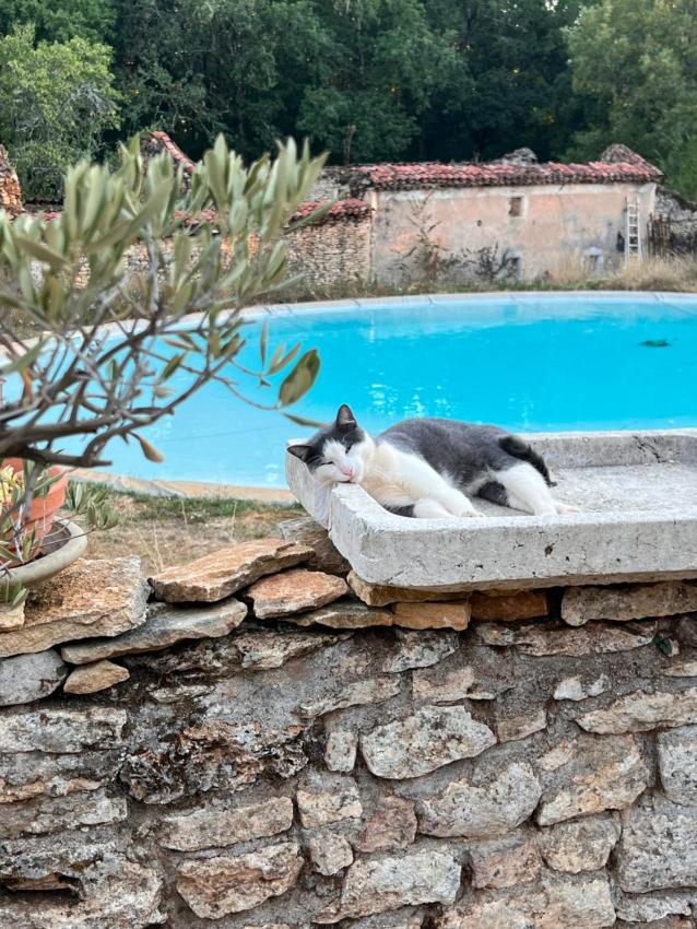 Domaine de Mombret Haut