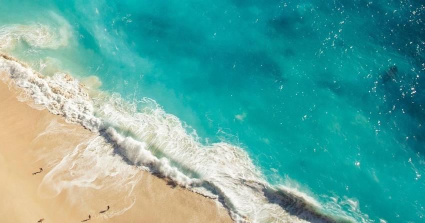 Bossa Palace Superior