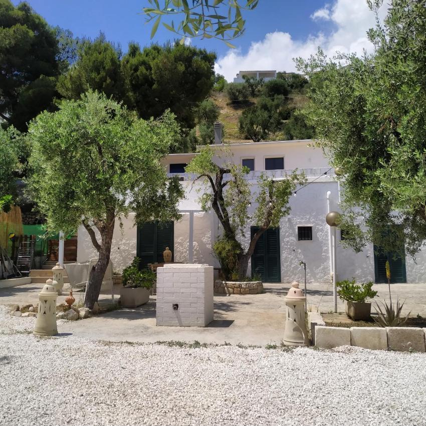 PETRA BIANCA Charming House