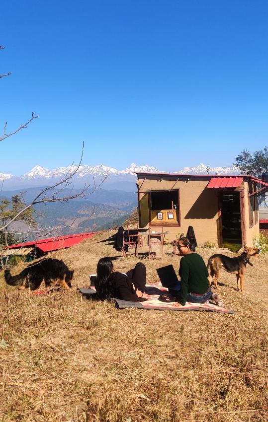 Traveller Hive, Kasar Devi