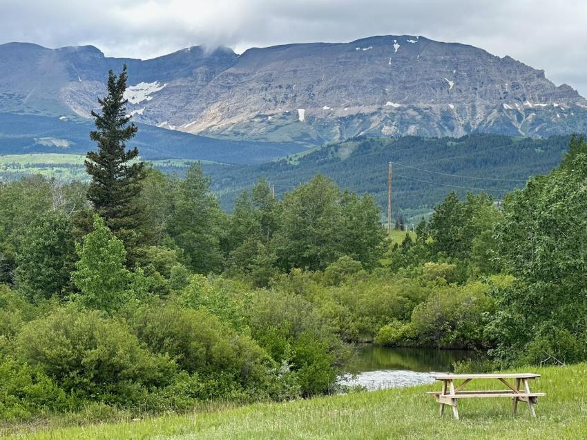 Glacier Grizzly Resort- Rv & Tipi