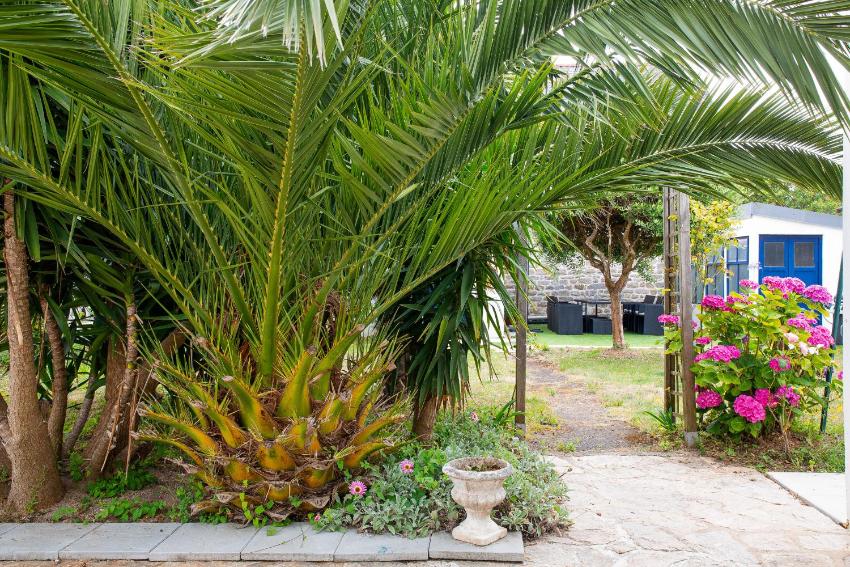 Maison avec jacuzzi a Loctudy !