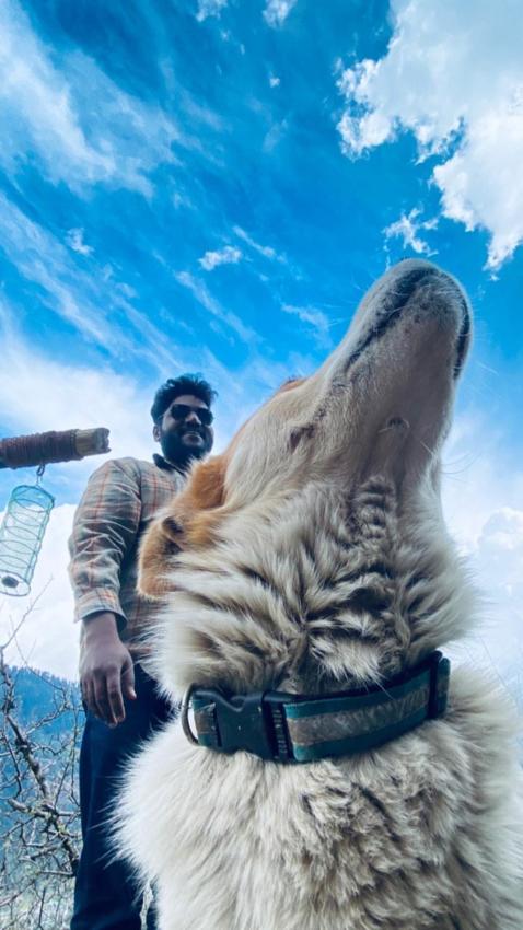 Dormitory manali dorm