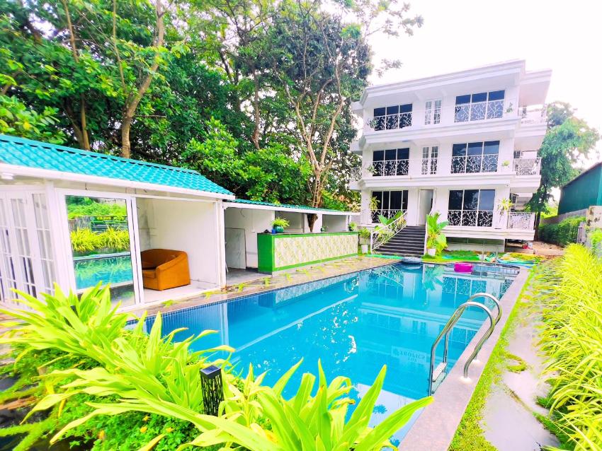 The Tropics by Goveia