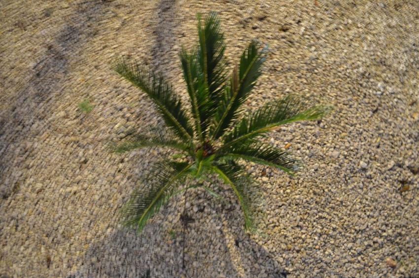 Alcácer 4Ever Palace